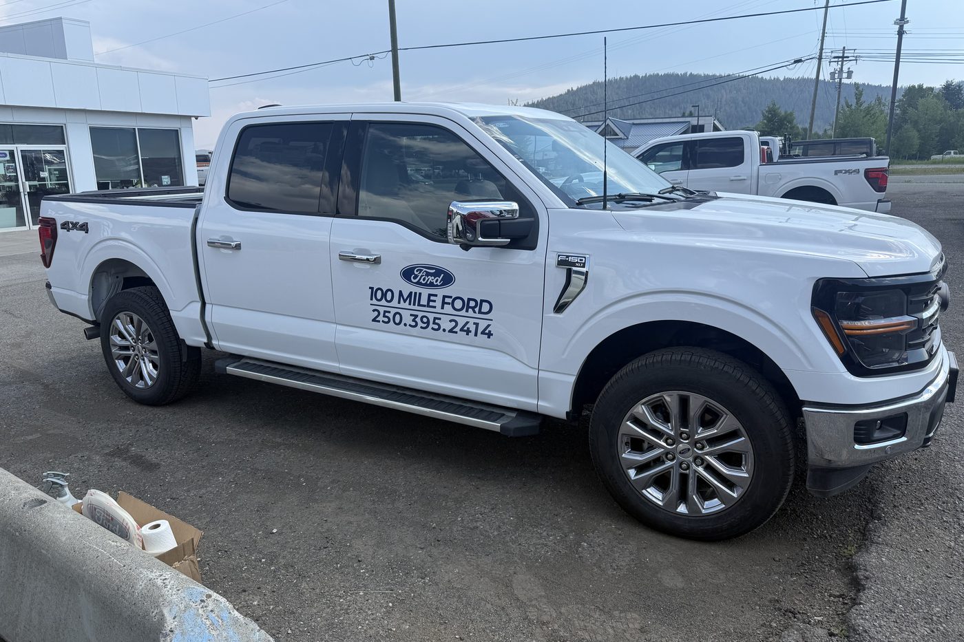 White Ford F-150 with 100 Mile Ford door decals on the dealership lot.